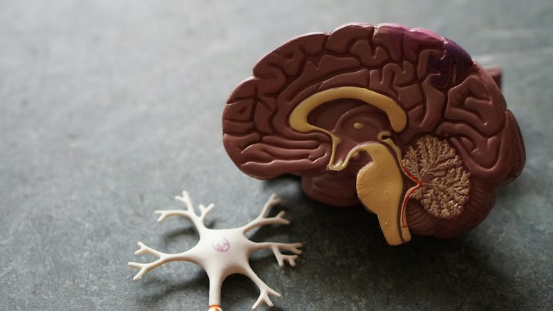 Neuro Rehabilitation at AMS Clinic